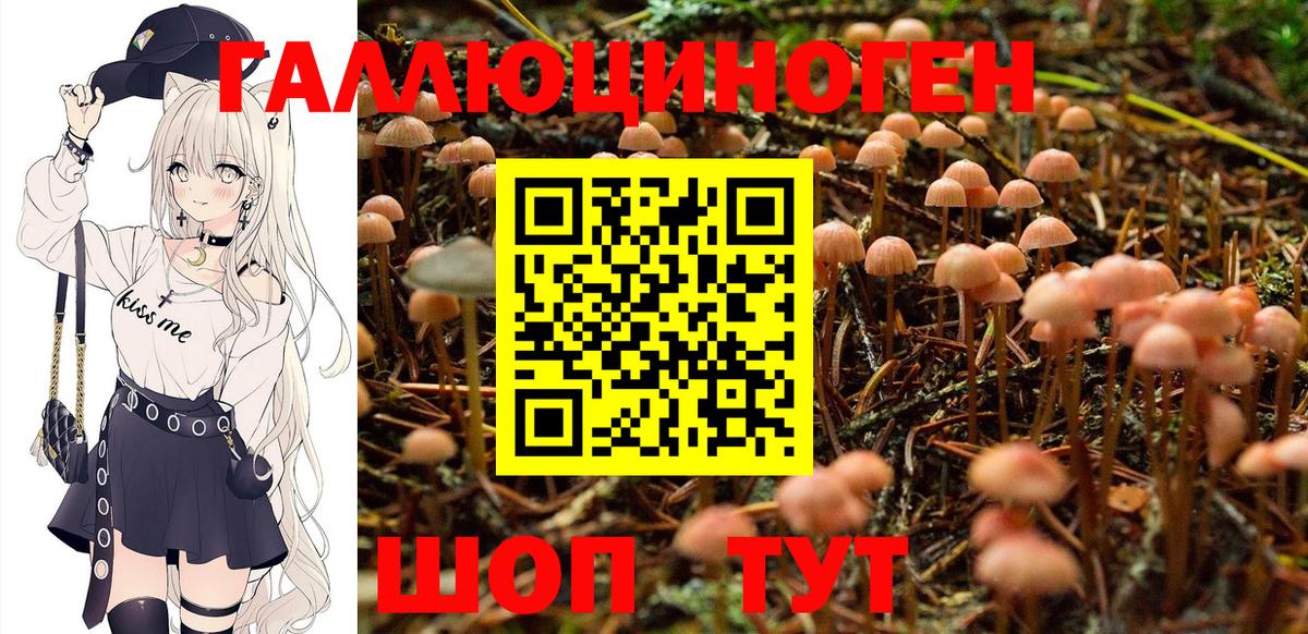 Галлюциногенные грибы ЛСД Борзя