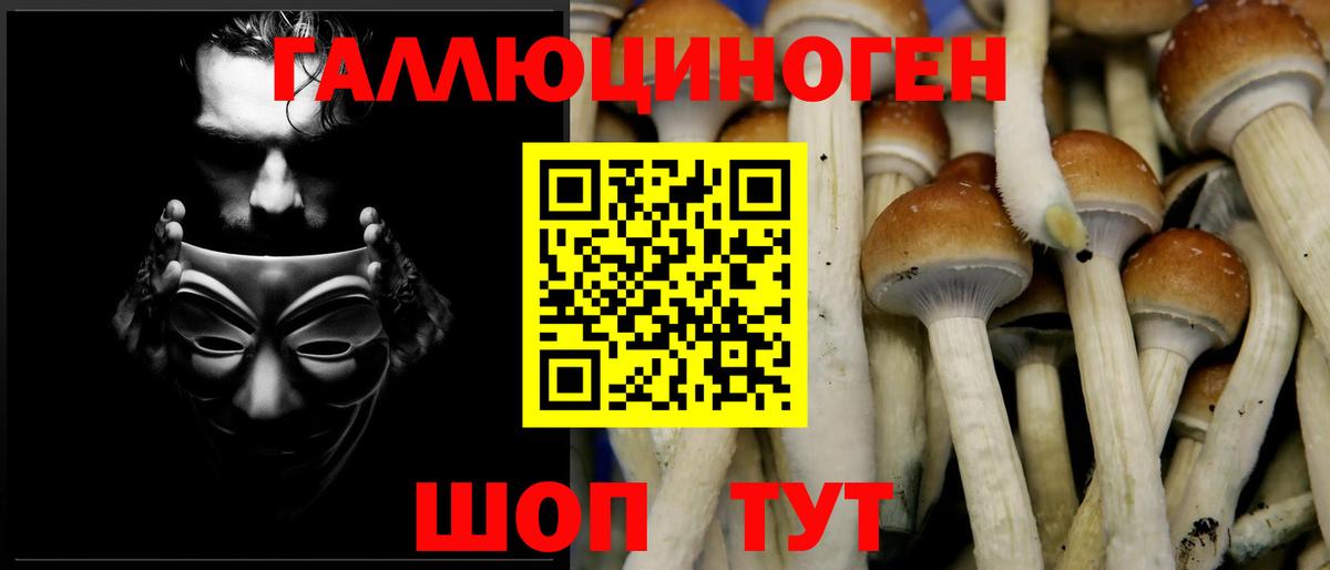 Галлюциногенные грибы Psilocybine cubensis  Вход с VPN  Борзя  Галлюциногенные грибы мухоморы 